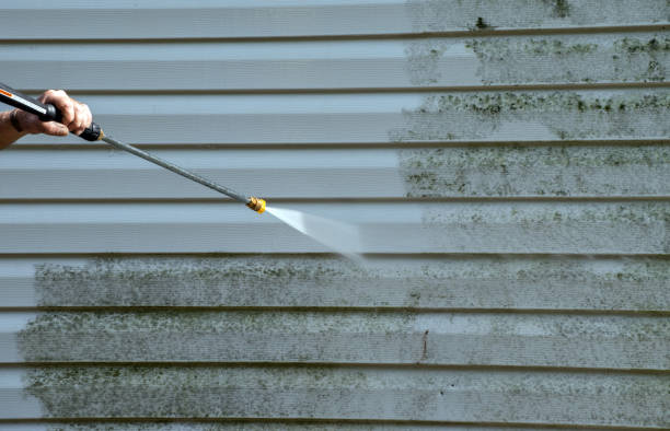 Reliable Tornillo, TX Pressure Washing Solutions